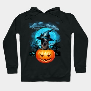 Blue Heeler Witch Hat Pumpkin And Blue Moon Halloween Hoodie